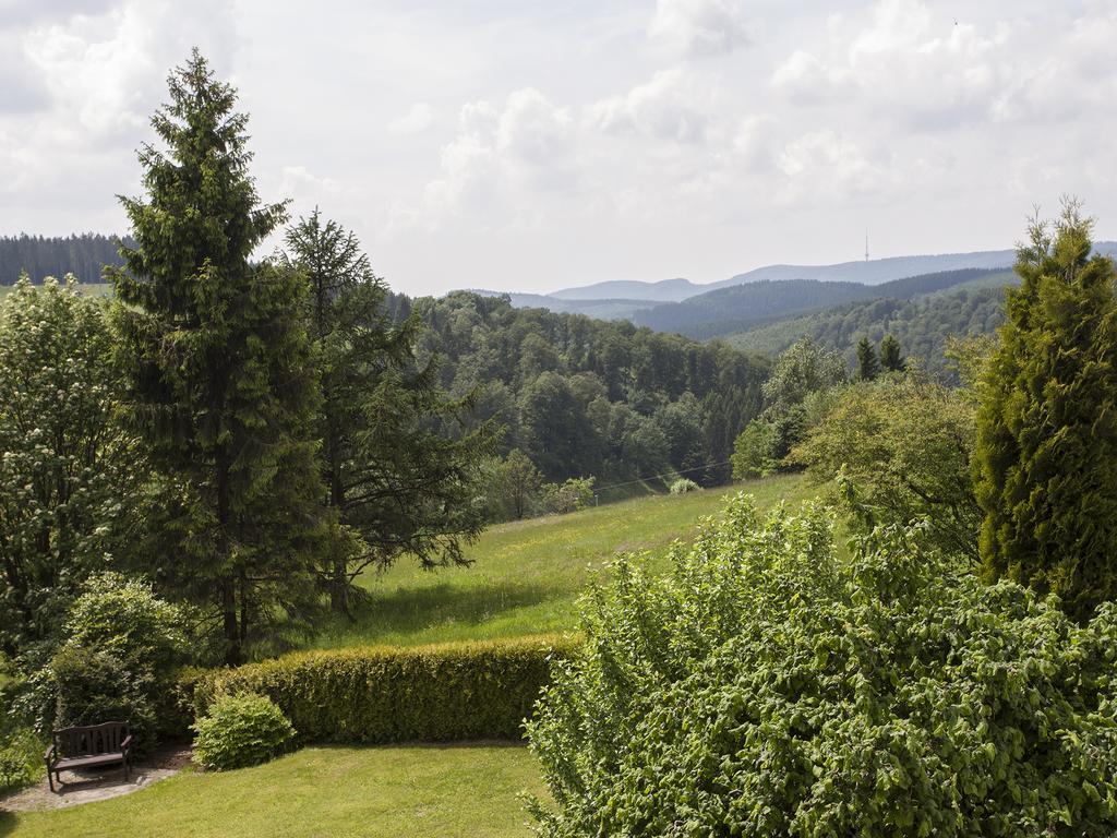 Pension Haus Brieden Winterberg Exteriér fotografie